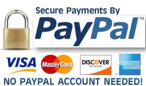 PayPal_Logo